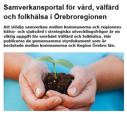 Samverkansportal_2.JPG